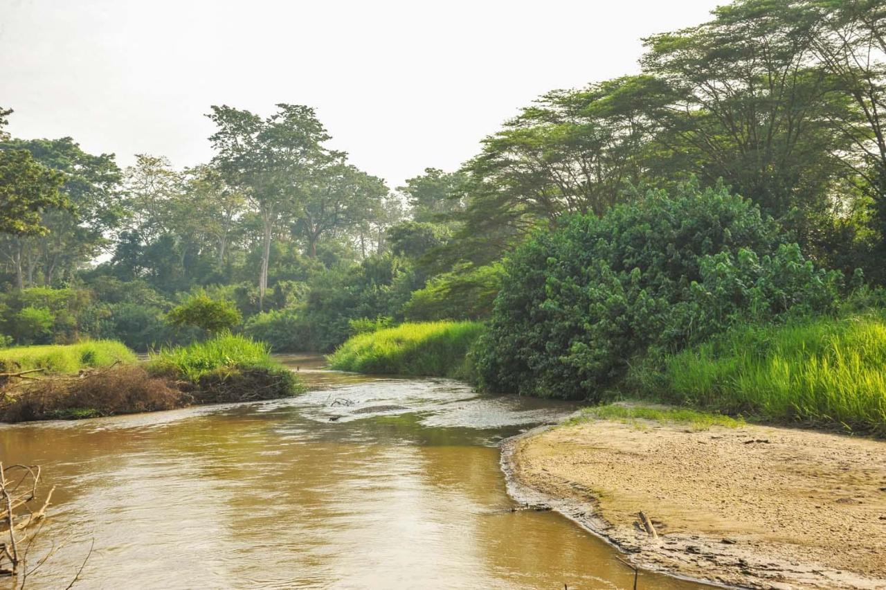 Bullbush River Camp Kihihi Εξωτερικό φωτογραφία
