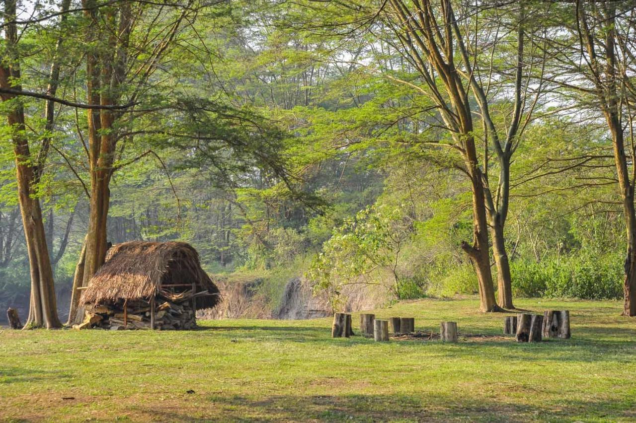 Bullbush River Camp Kihihi Εξωτερικό φωτογραφία